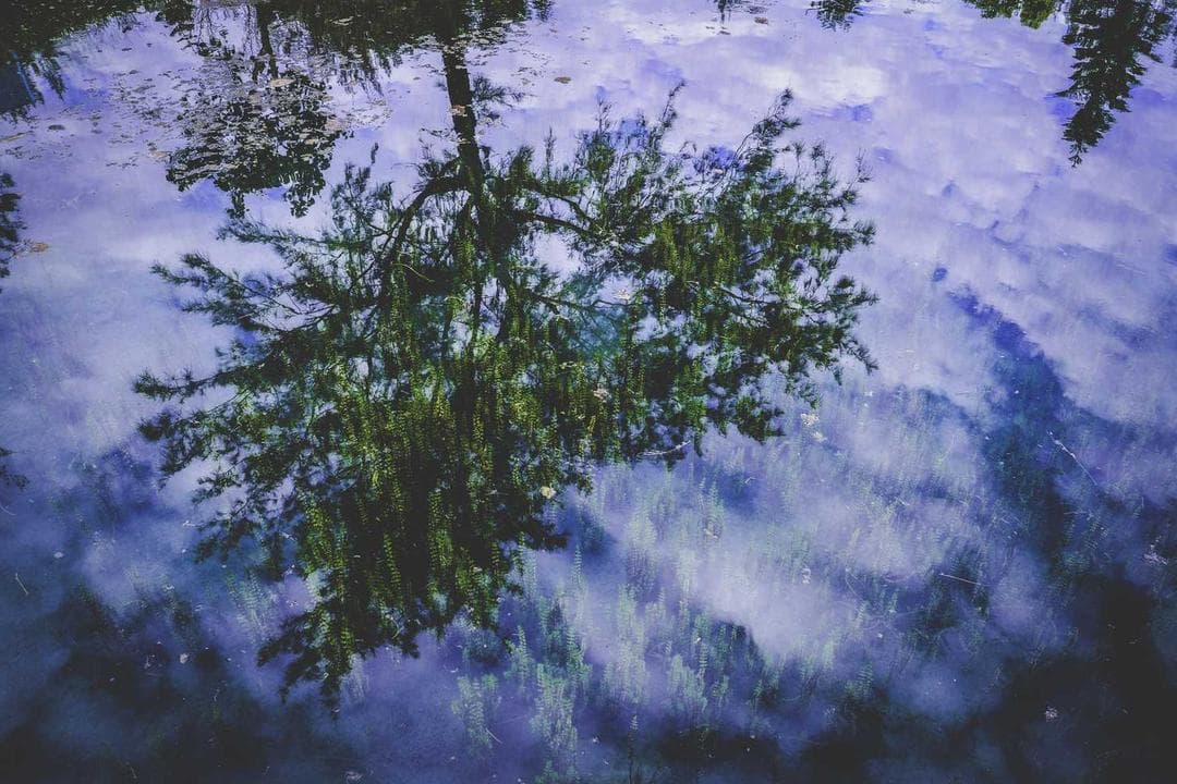 Person reading a prescription with a magnifying glass